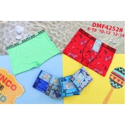 DMF4252