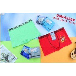 DMF4256