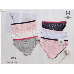 H3879