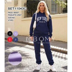 SET11043C