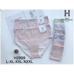 H2903